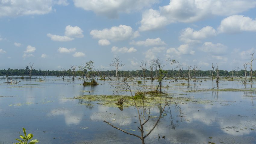 Lake around Neak Pean Temple